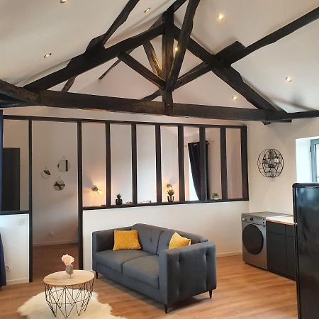 Апартаменты Le Loft De Blossac Пуатье Экстерьер фото